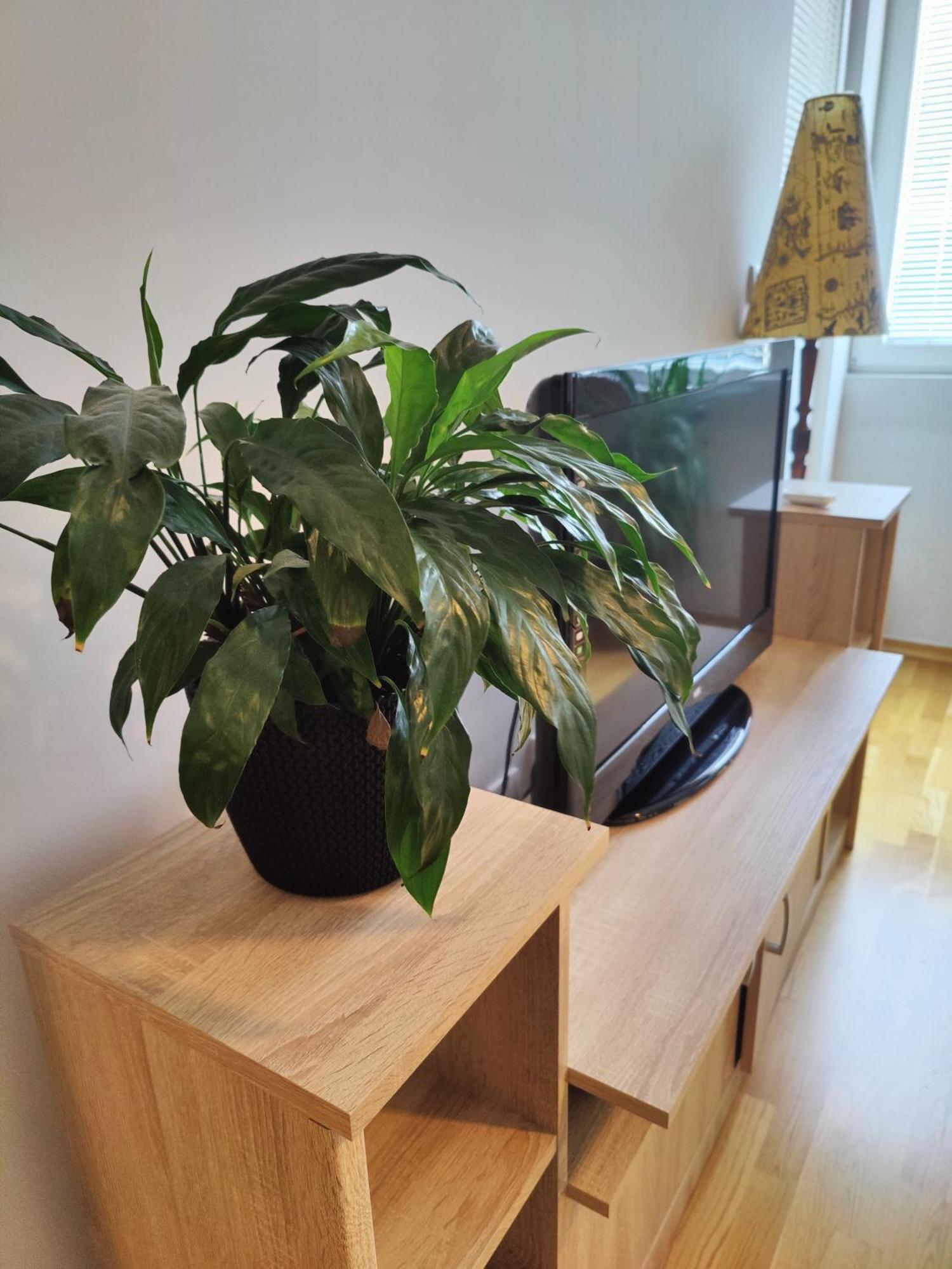 Apartman Aleksic Nis Exterior photo